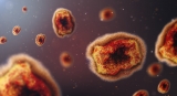 Monkeypox cases in New York City rise to seven