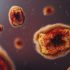 US making COVID antiviral drug more available at test sites