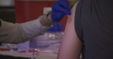 TN among states leading the nation in flu activity