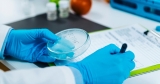 Towards stronger food safety systems and global cooperation