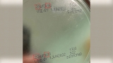FDA and CDC investigate infant illness and formula