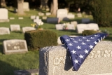 1 in 500 Americans dead from COVID-19