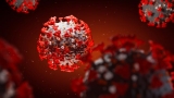 CDC reports 1M Covid deaths in the US as Wisconsin sees rise in cases