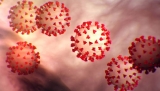 California man who mocked COVID-19 vaccine dies of virus