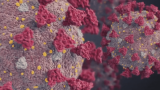 CDC Announces Revised COVID-19 Isolation, Mask Guidance – NBC Bay Area