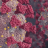 CDC Loosens COVID Guidelines for Schools, Recommends Masking If Exposed