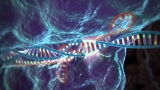A Leap In Understanding | Worldhealth.net Anti-Aging News