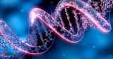 A new era of evidence based healthcare management, Health News, ET HealthWorld
