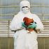 US extends COVID public health emergency weeks after Biden declared pandemic ‘over’