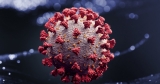 Florida’s Health Department Disputed The CDC’s COVID Numbers. A USF Epidemiologist Explains What Happened