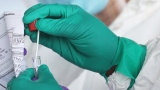 Most people with omicron variant didn’t know they had COVID-19, study finds : NPR