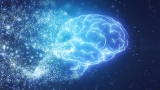 ‘Dopamine Nation’ Author Anna Lembke Explores Link Between Pleasure And Pain : Shots