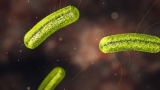 Deadly listeria outbreak spanning 10 states tied to Florida, CDC says
