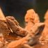 US Home Sales Fall for Eighth Straight Month