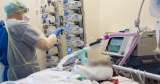 COVID deaths jump by 40% in one week, but cases falling globally, new World Health Organization report says