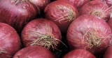 Salmonella outbreak in 37 states linked to onions imported from Mexico, CDC says