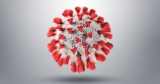Everything We Know About the New COVID Subvariants