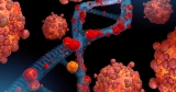 US Initiates Monkeypox Vaccine Rollout: What to Know About the Disease and Its Symptoms