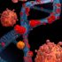Health News Roundup: China reports 691 new COVID cases on July 16 vs 547 a day earlier; India’s COVID vaccinations hit 2 billion, new cases at four-month high and more