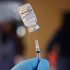 Climate Change May Make Pandemics More Common