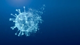 CDC Backs Covid Shots for Youngest Kids – WTIC