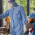 Pollen seasons getting longer, more extreme | News, Sports, Jobs