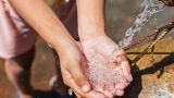 Conference to address global justice theory and practice post Covid Pandemic