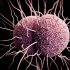 Covid 19 News: Did coronavirus escape from Wuhan lab? China vs WHO on Covid origins | World News