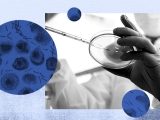Gram-positive bacteria: Characteristics, treatment, and examples