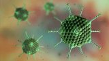 Link Between Pediatric Hepatitis and Adenovirus 41 Still Unclear