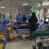Covid social-media message is false, says health ministry – The Royal Gazette