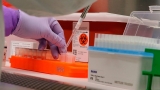 Hawaii County enters COVID-19 red zone
