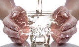 Five Reasons Why Water is Important to Your Health