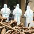 Covid-19 Live Updates: Mask Mandates, Cases and More