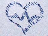 Most common symptoms of 6 cardiovascular diseases: Men vs. women