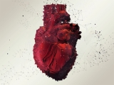 Can poor heart health predict how fast your brain will age?