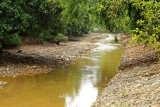 Bilharzia: A silent disease lurking in our waters