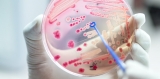 ‘Host-directed therapy’ could treat infectious diseases—including COVID—and limit drug-resistance