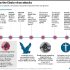 Most U.S. pregnancy related deaths are preventable | What to know