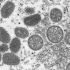 UNC Selected for Joint ID/CDC Epidemic Intelligence Service Fellowship Program