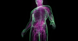 Does nerve damage contribute to long COVID symptoms? – Harvard Gazette