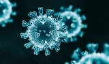 COVID cases on the rise in Europe could spell trouble for US