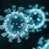 Omicron BA.4.6 subvariant makes up nearly 14% of COVID variants in U.S. – CDC