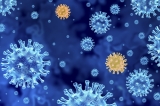 The Lambda COVID variant is in California: 5 things to know