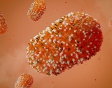 WHO Monkeypox Research – What study designs can be used to address the remaining knowledge gaps for monkeypox vaccines?