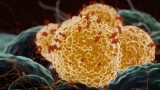 UTMB Lab Tests Pfizer COVID Vaccine : Shots