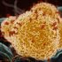 KFF COVID-19 Vaccine Monitor: July 2021