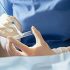 Stores change mask requirements due to recent CDC mask recommendations