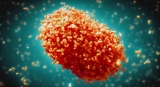 WHO to determine if Monkeypox should be declared ‘Emergency of International Concern’; rights expert warns of COVID ‘vaccine apartheid’