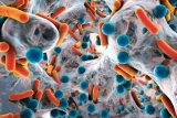 CDC says COVID-19 negatively impacted progress on antibiotic resistance (NYSE:PFE)